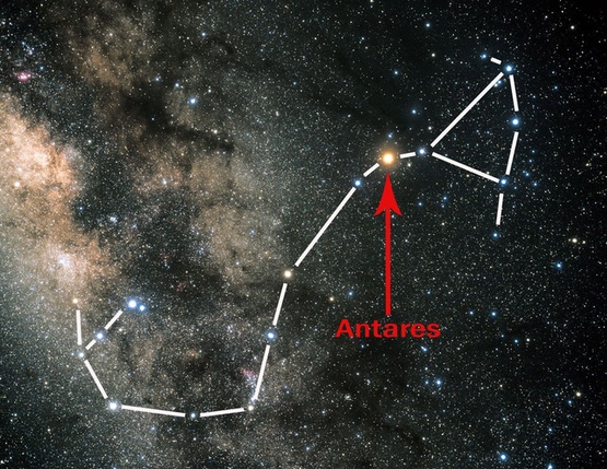 outline of constellation Scorpius, with red star Antares at the scorpion's heart